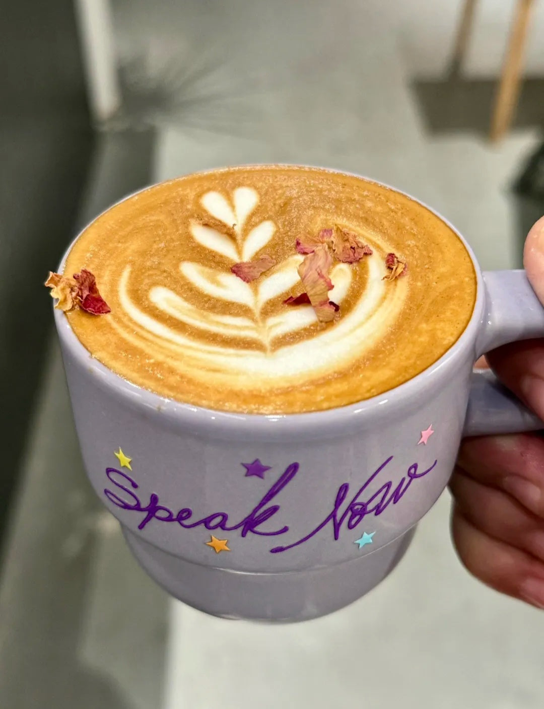 Speak Now Purple Mug